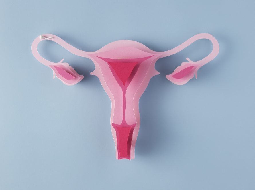 KAPALI MİYOM AMELİYATI – LAPAROSKOPİK MYOMEKTOMİ